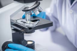 Lab