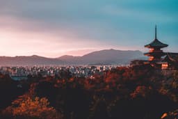 su-san-lee-E_eWwM29wfU-unsplash.jpg