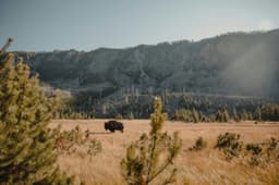 wyoming-state-photo