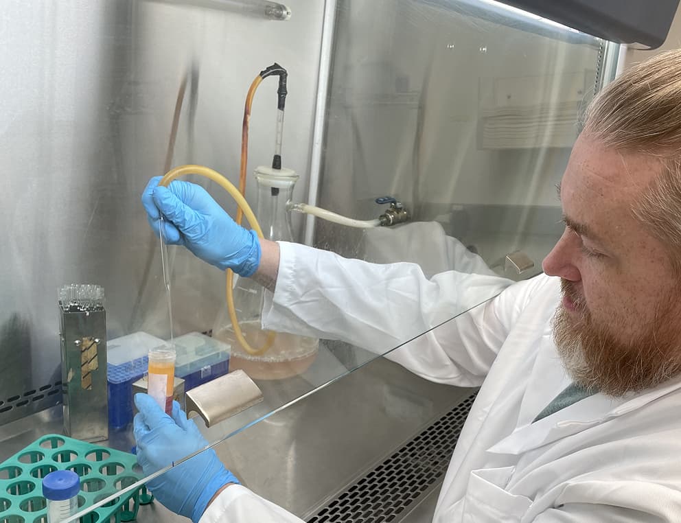 Lab technician processing stem cells
